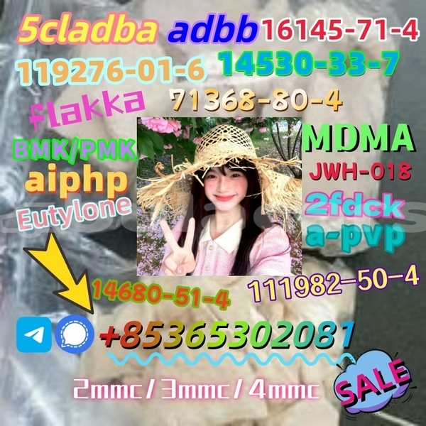 Big with watermark photo 6192803247366981096 x