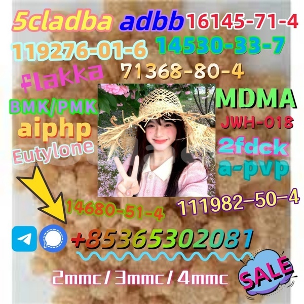 Big with watermark images 14 