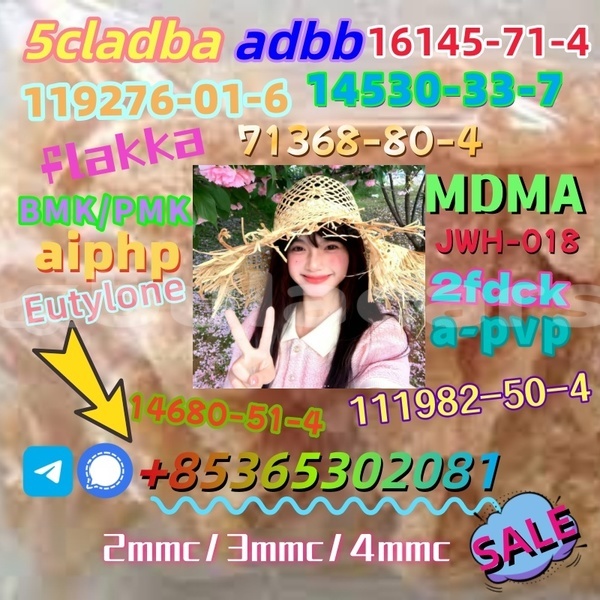 Big with watermark images 15 