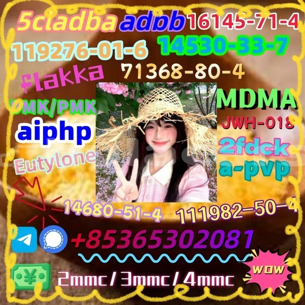 Big with watermark 1 9 