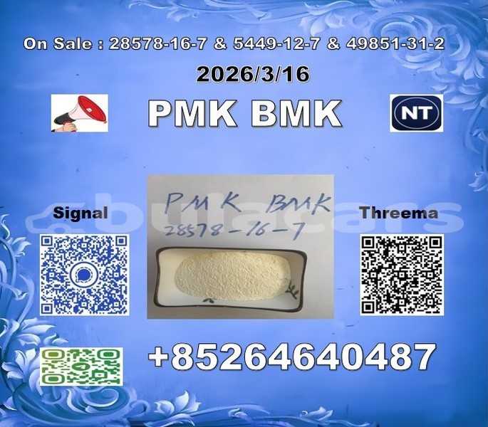 Big with watermark 2026 03 18 105916 %e5%89%af%e6%9c%ac 2 