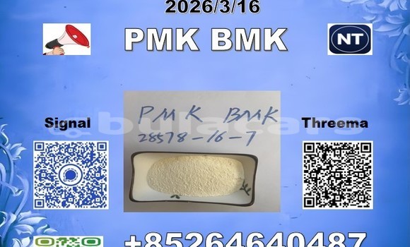 Buy P-MK 28578-16-7 in Komave in Western Buy P-MK 28578-16-7 in Komave in Western