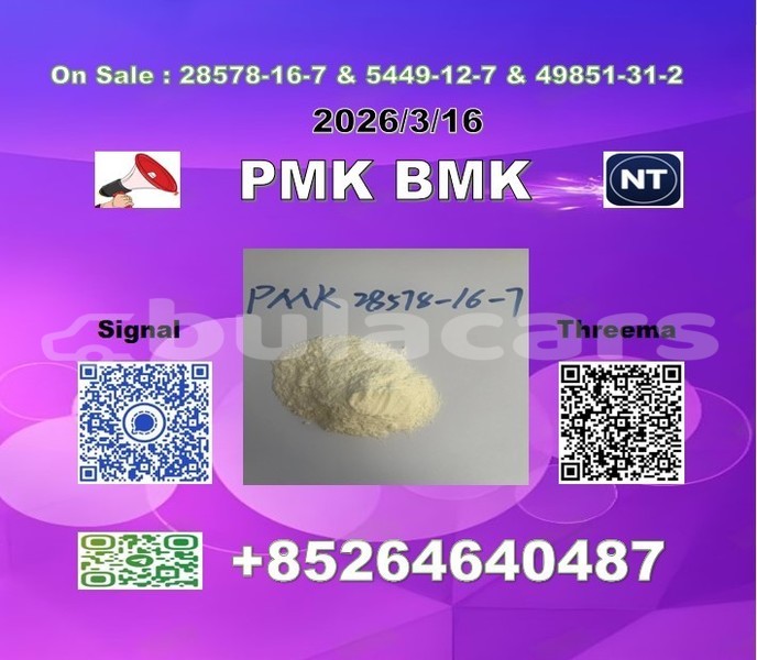 Big with watermark 2026 03 18 110046