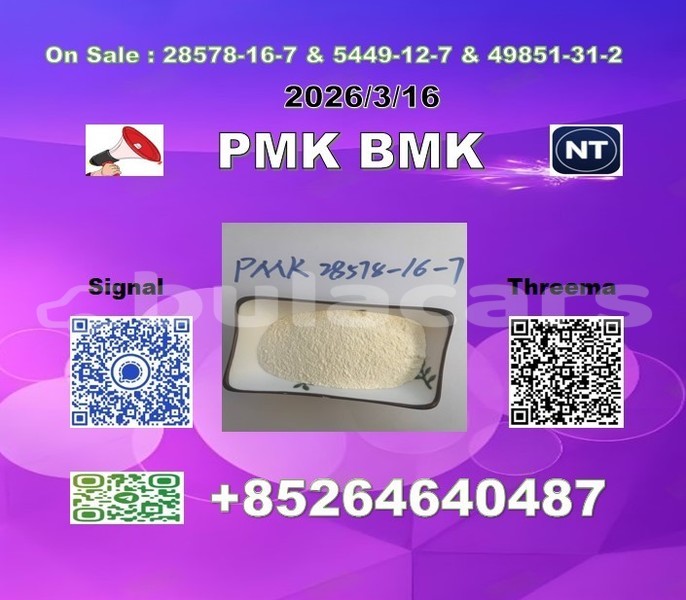 Big with watermark 2026 03 18 110123