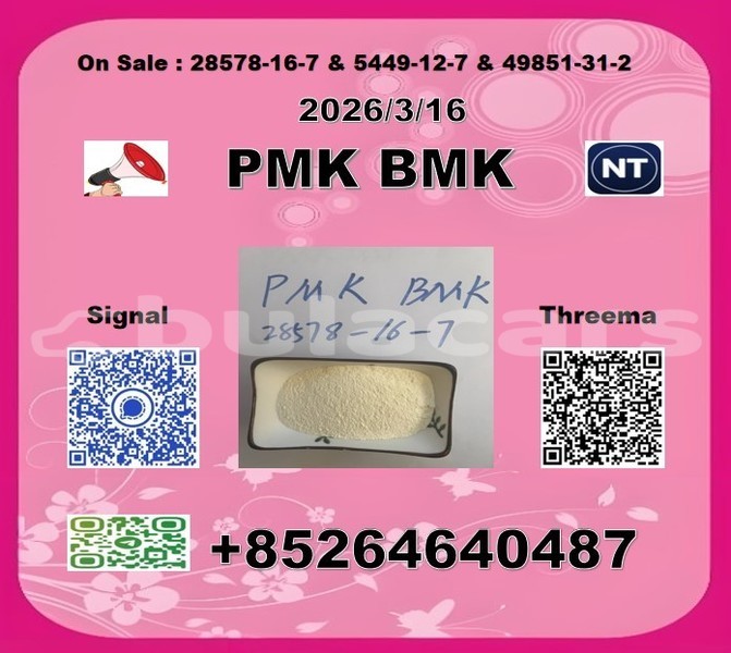 Big with watermark 2026 03 18 105403 %e5%89%af%e6%9c%ac