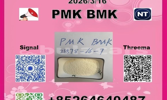 Buy B.M.K 5449-12-7 in Korokade in Northern Buy B.M.K 5449-12-7 in Korokade in Northern