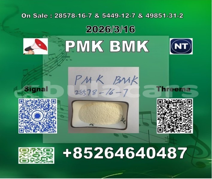 Big with watermark 2026 03 18 105603