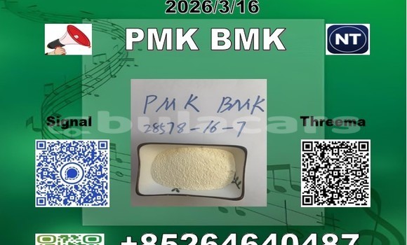 Buy P-MK bmk 28578-16-7 in Import - Dubai in Central Buy P-MK bmk 28578-16-7 in Import - Dubai in Central