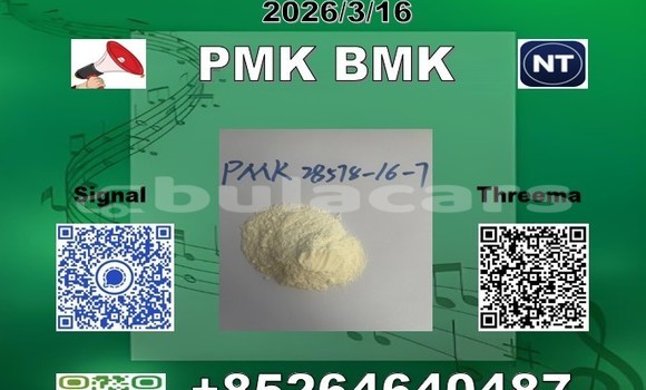 Buy P-MK bmk 28578-16-7 in Import - Dubai in Central Buy P-MK bmk 28578-16-7 in Import - Dubai in Central