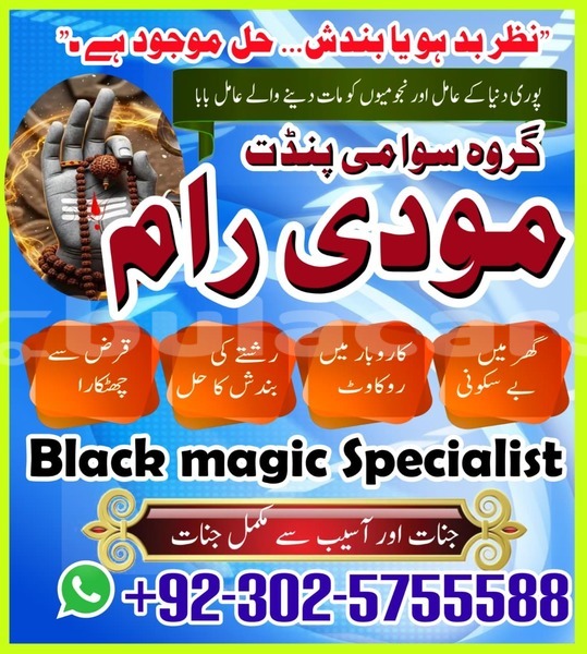 Big with watermark amc hornet eastern lamiti 12780