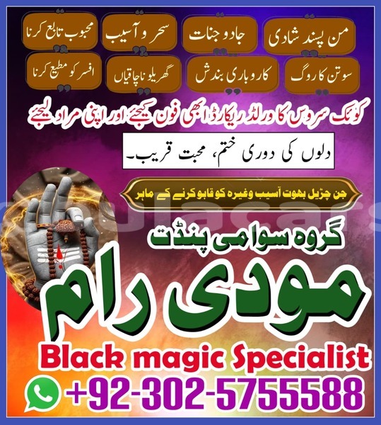 Big with watermark amc hornet eastern lamiti 12781