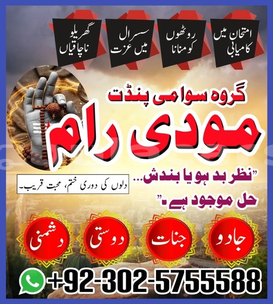 Big with watermark amc hornet eastern lamiti 12781