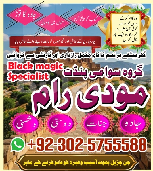 Big with watermark amc hornet eastern lamiti 12783