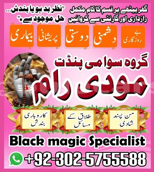 Big with watermark amc hornet eastern lamiti 12785