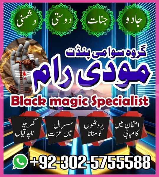 Big with watermark amc hornet eastern lamiti 12785