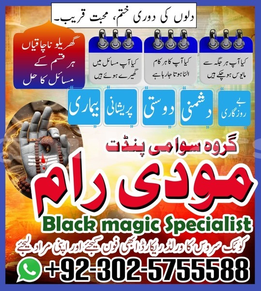 Big with watermark amc hornet eastern lamiti 12786