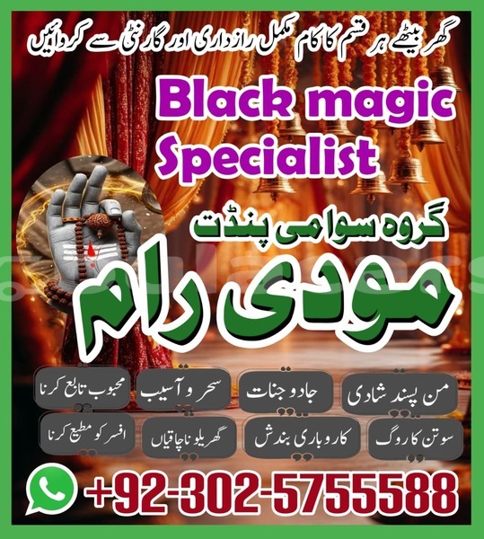 Big with watermark amc hornet eastern lamiti 12786