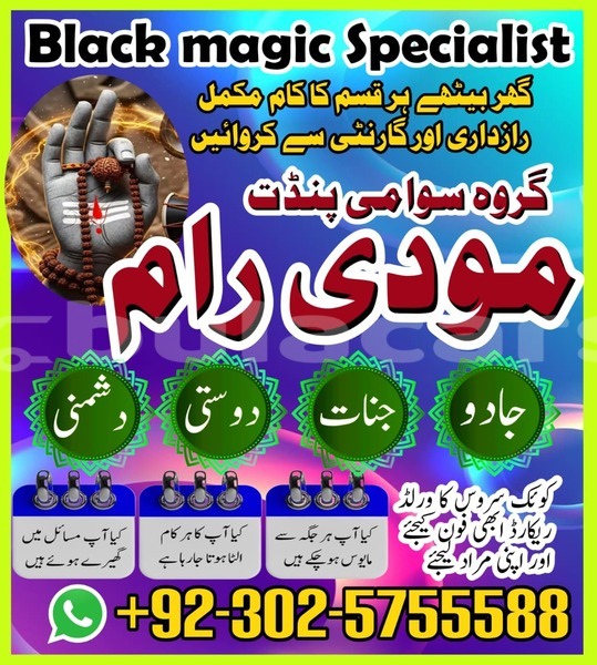 Big with watermark amc hornet eastern lamiti 12787