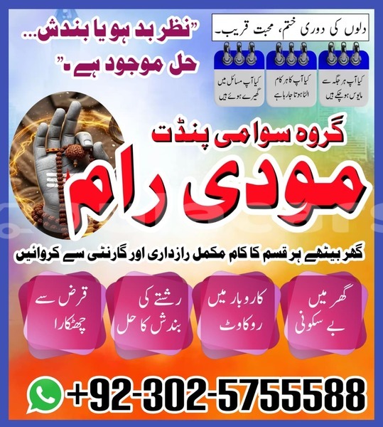 Big with watermark amc hornet eastern lamiti 12788