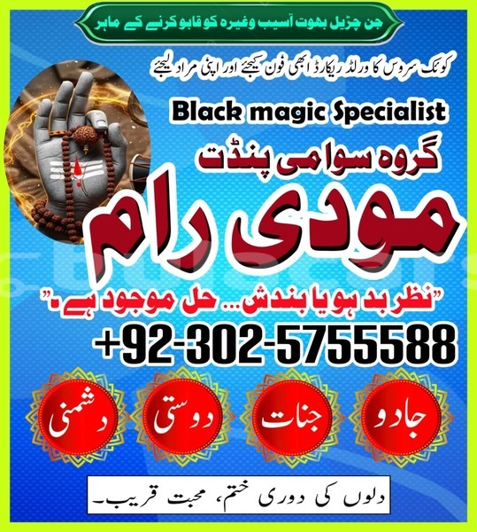 Big with watermark amc hornet eastern lamiti 12789