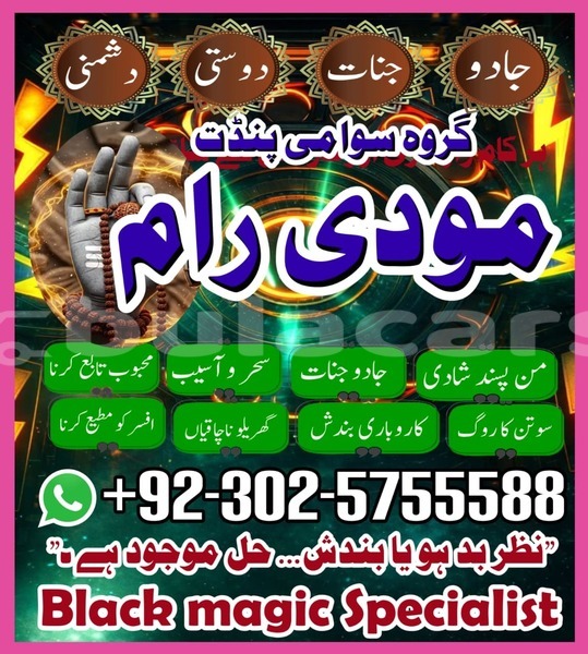 Big with watermark amc hornet eastern lamiti 12793