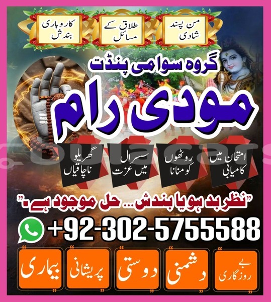 Big with watermark amc hornet eastern lamiti 12795