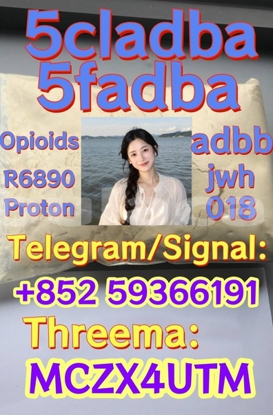 Big with watermark 5