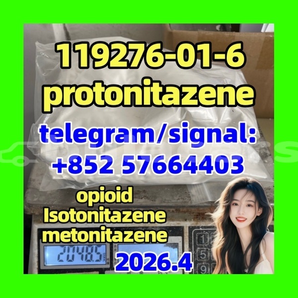 Big with watermark pr1