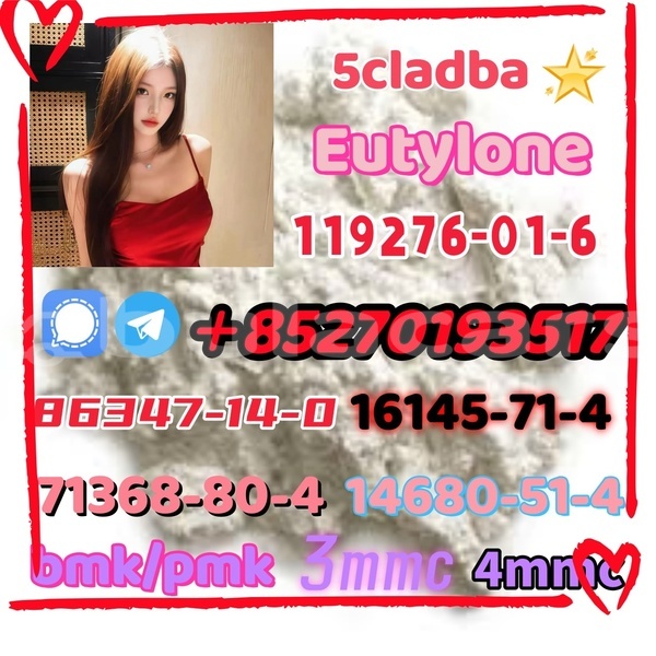 Big with watermark 1 17 