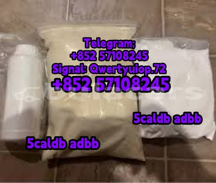 Big with watermark adler trumpf junior northern korokade 12856