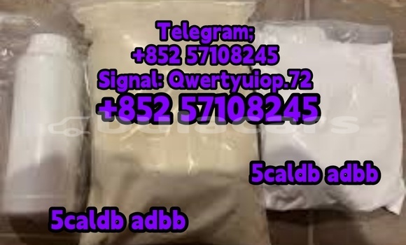 Buy New Adler Trumpf Junior Green Car in Korokade in Northern Buy New Adler Trumpf Junior Green Car in Korokade in Northern