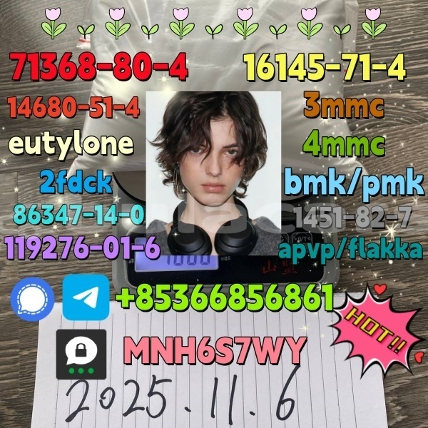 Big with watermark 1 262 