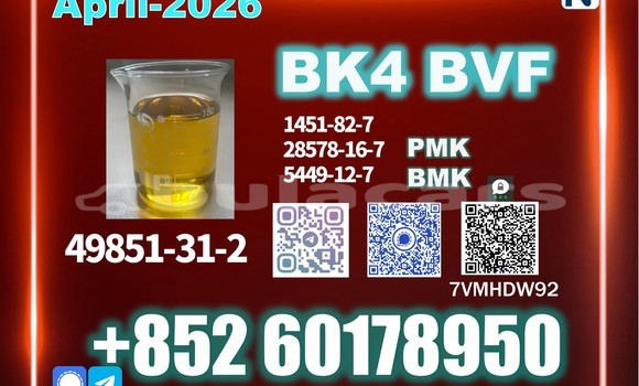 Medium with watermark bvf bk4 cas 49851 31 2 top factory