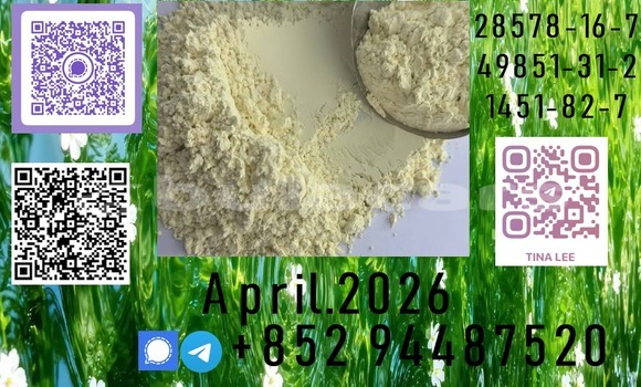 Medium with watermark b1