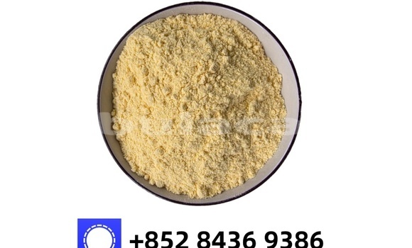 Buy New Alfa Romeo 146 Beige Car in Import - Dubai in Central