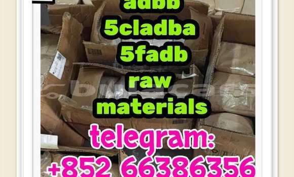 Medium with watermark 1