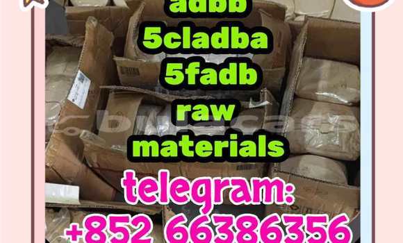 Medium with watermark 2