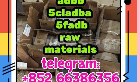 Medium with watermark 6