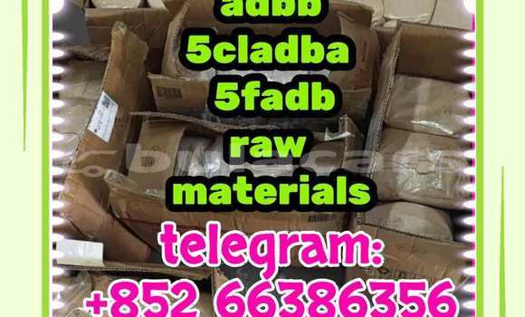 Medium with watermark 7