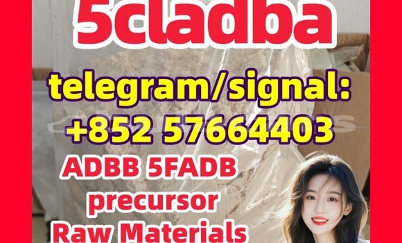 Medium with watermark 5c5