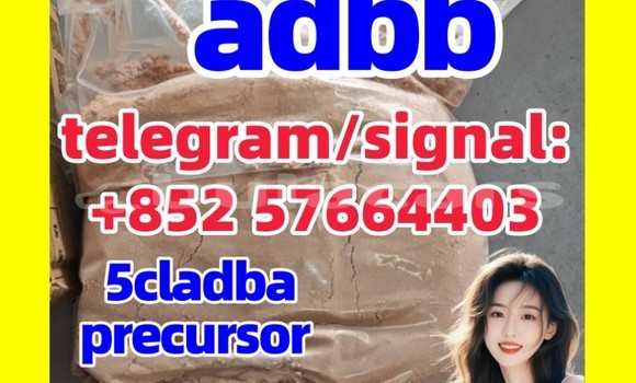 Medium with watermark 5cc5