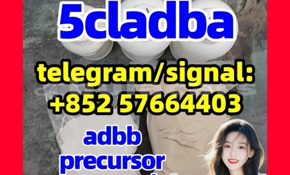 Medium with watermark 5cl5