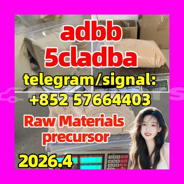 Big with watermark 55