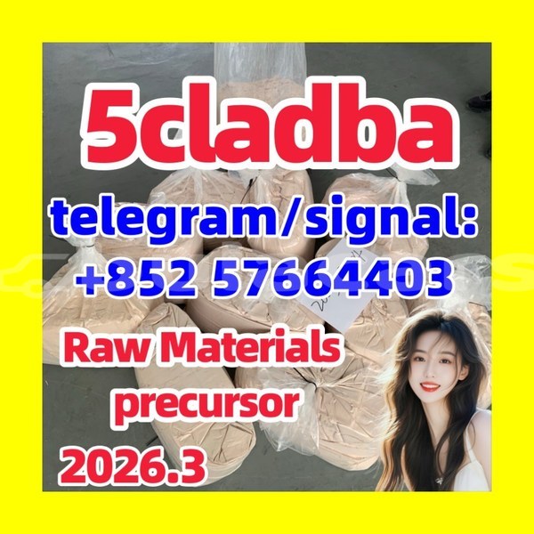 Big with watermark 555