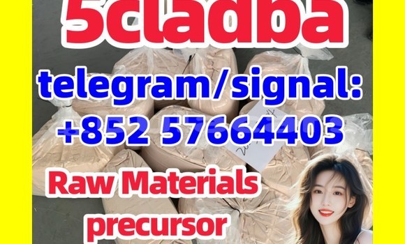 Medium with watermark 555