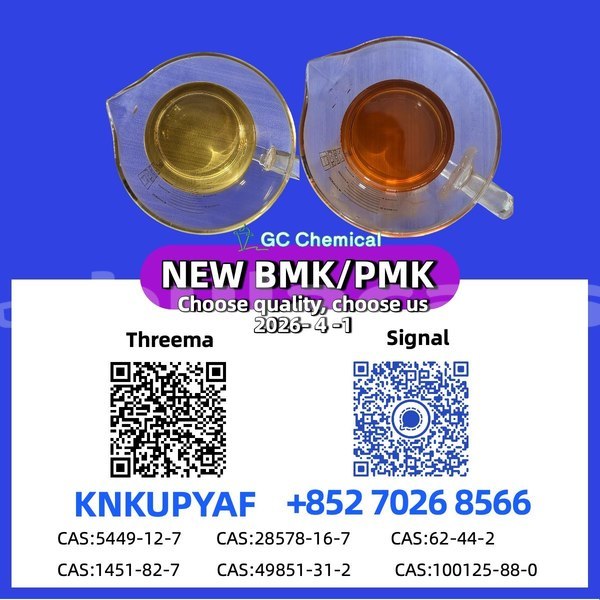 Big with watermark acura csx central import dubai 12928