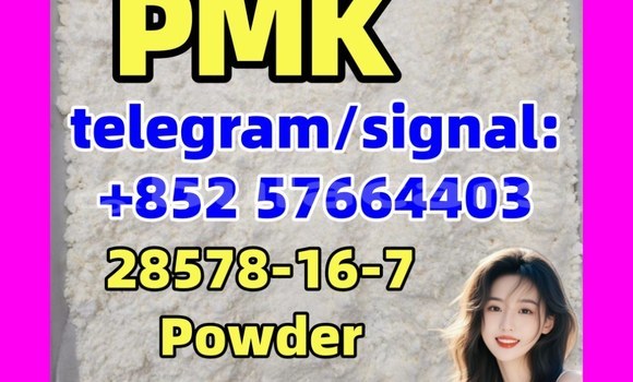 Medium with watermark p5