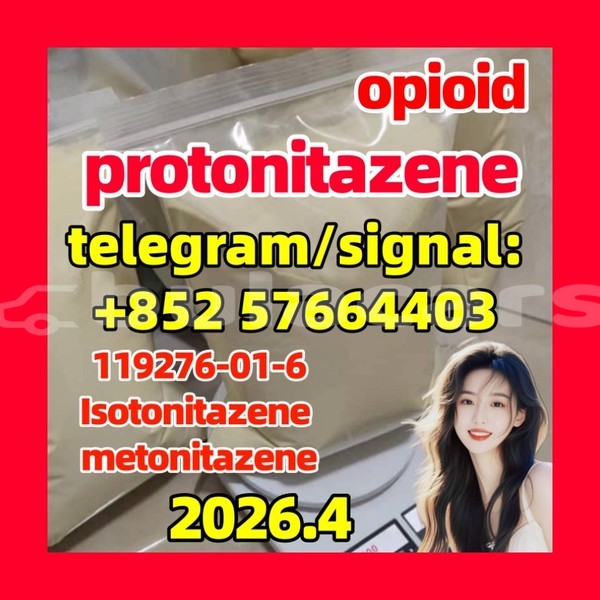 Big with watermark pro5