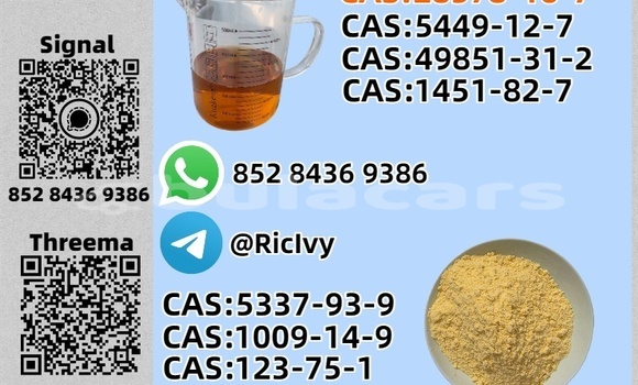 Buy Used E-Car GD04B Black Car in Nasasa in Northern