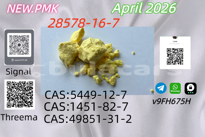 Big with watermark adler diplomat western barotu 12999